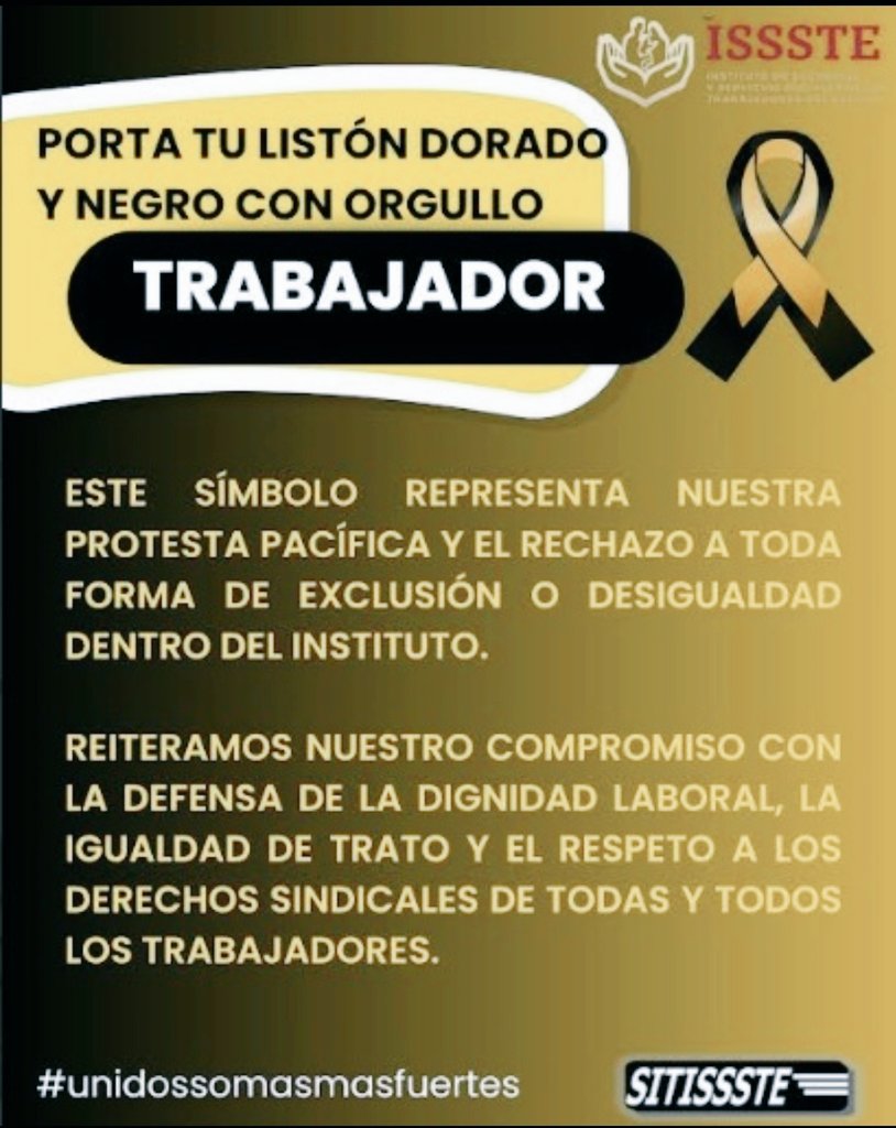 WhatsApp Image 2025-10-28 at 7.49.51 PM (1)