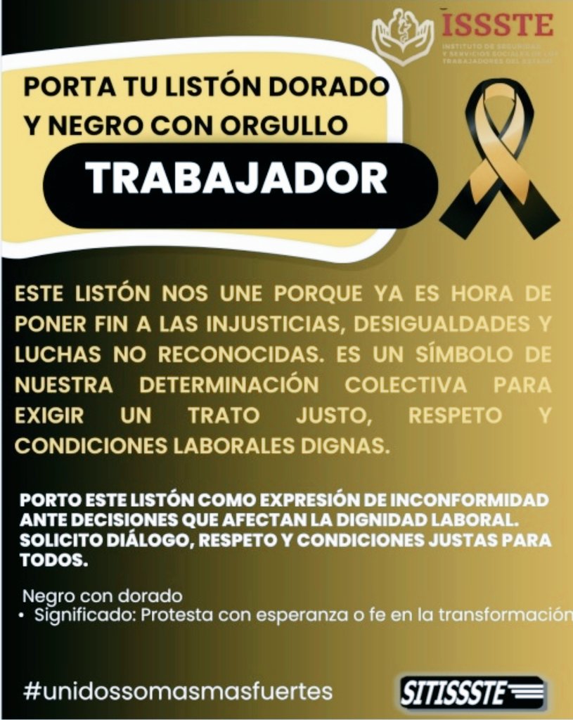 WhatsApp Image 2025-10-28 at 7.49.51 PM