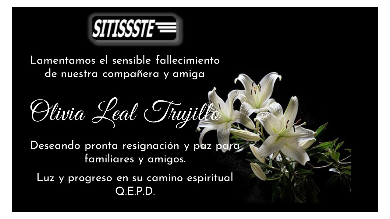 WhatsApp Image 2026-02-17 at 1.10.05 PM